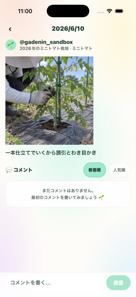 記録の詳細画面。2026/6/10、支柱に誘引したミニトマトの写真と「一本仕立てでいくから誘引とわき芽かき」のメモ
