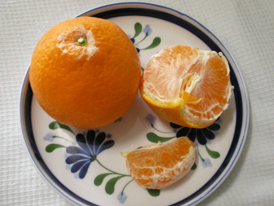 みかん「清見」