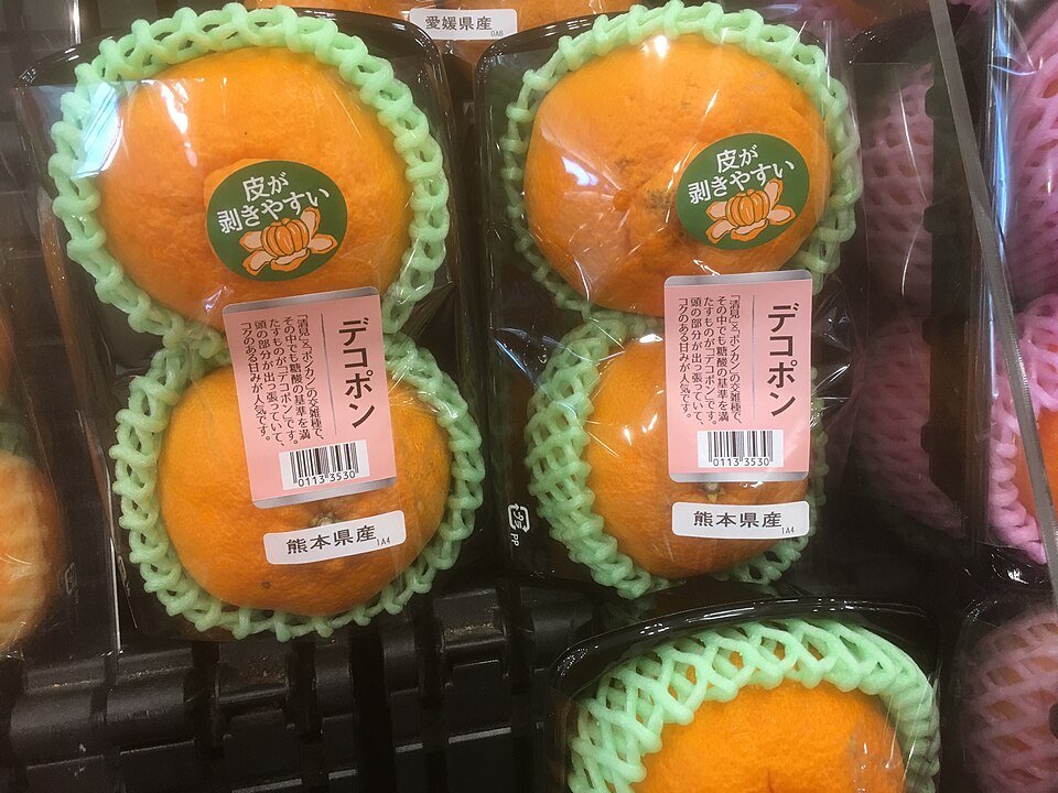 不知火「デコポン」